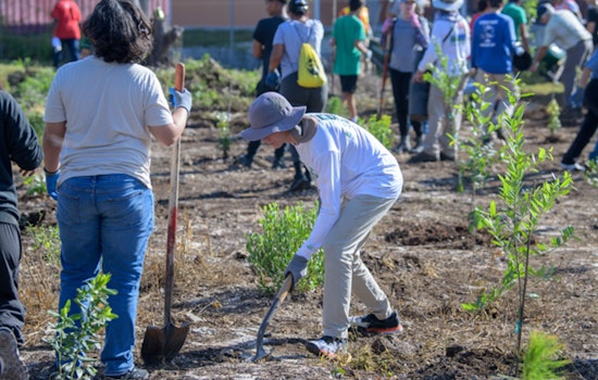 Miami-Dade Rallies Volunteers for Conservation Effort to Restore Endangered Ecosystems