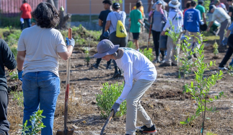 Miami-Dade Rallies Volunteers for Conservation Effort to Restore Endangered Ecosystems