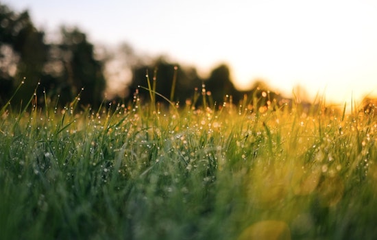 Miami Greets Morning Showers as Cool Front Brings Relief and Rip Current Risks