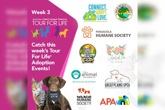 Miami Joins Nationwide TOUR FOR LIFE Event to Find Homes for Pets with Giveaways and Adoption Perks