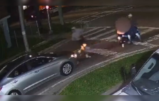 Miami Police Seek Public's Help to Identify Suspect in Brazen Purse Snatching Caught on Camera