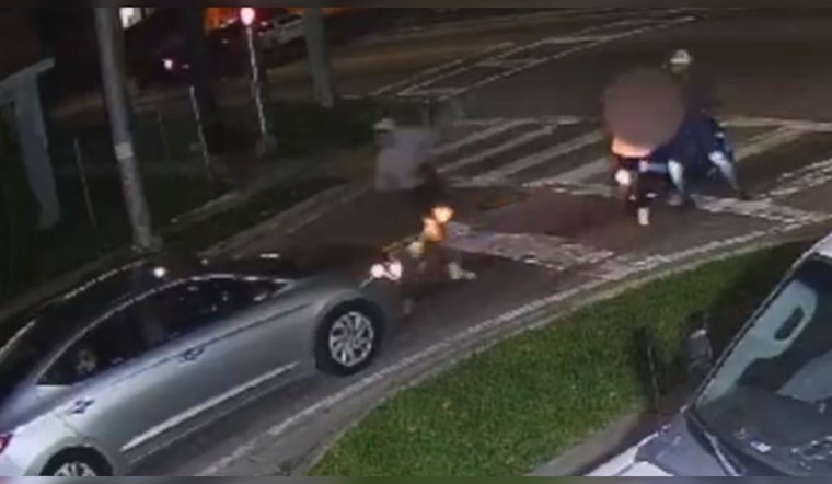 Miami Police Seek Public's Help to Identify Suspect in Brazen Purse Snatching Caught on Camera