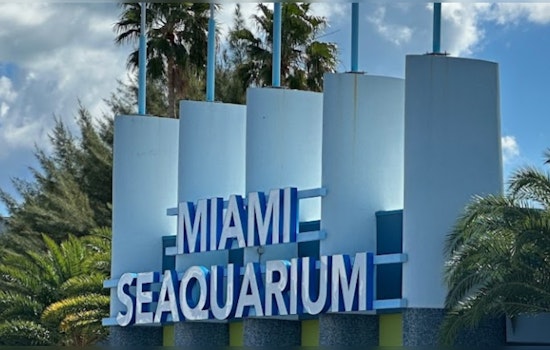 Miami Seaquarium Faces Closure as Miami-Dade County Issues Lease Termination Notice Amidst Violation Claims