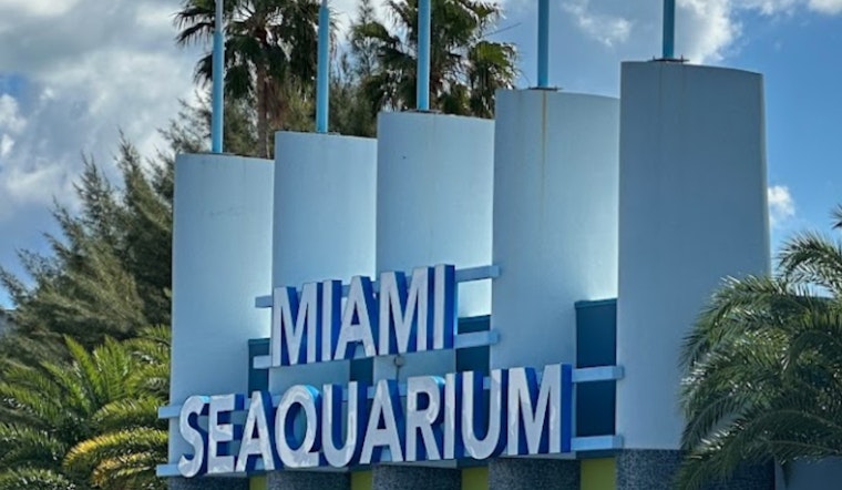 Miami Seaquarium Faces Closure as Miami-Dade County Issues Lease Termination Notice Amidst Violation Claims