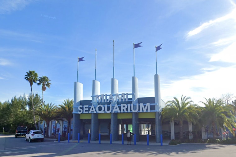Miami Seaquarium Operator Faces Eviction Amidst Allegations of Animal Mistreatment