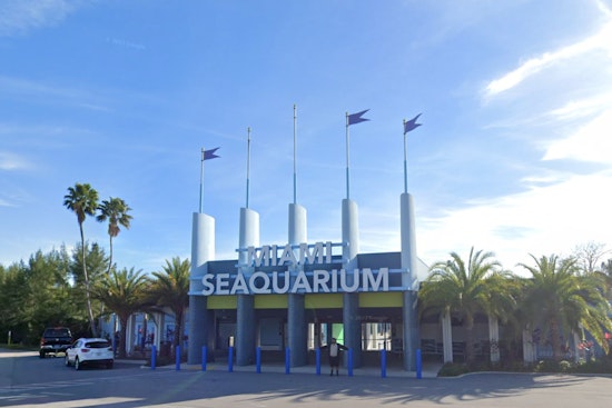 Miami Seaquarium Operator Faces Eviction Amidst Allegations of Animal Mistreatment