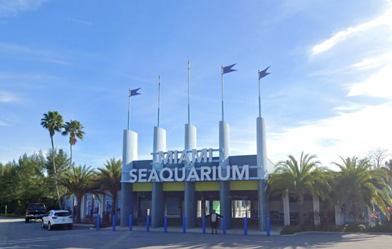 Miami Seaquarium Operator Faces Eviction Amidst Allegations of Animal Mistreatment