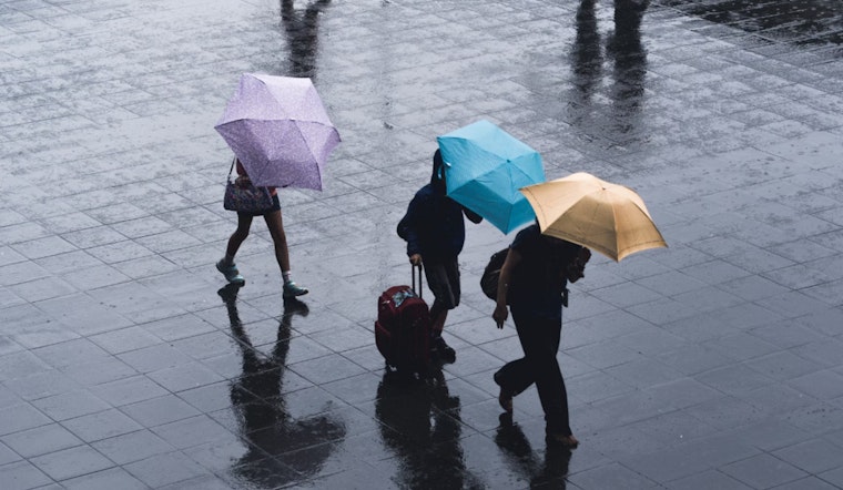 Miami Weather Rollercoaster: From Breezy Sunshine to Midweek Showers, Weekend Promises Outdoor Bliss