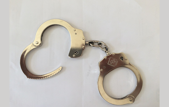Michigan Attorney Stefanie Lambert Arrested in D.C. Over Dominion Voting Systems Case