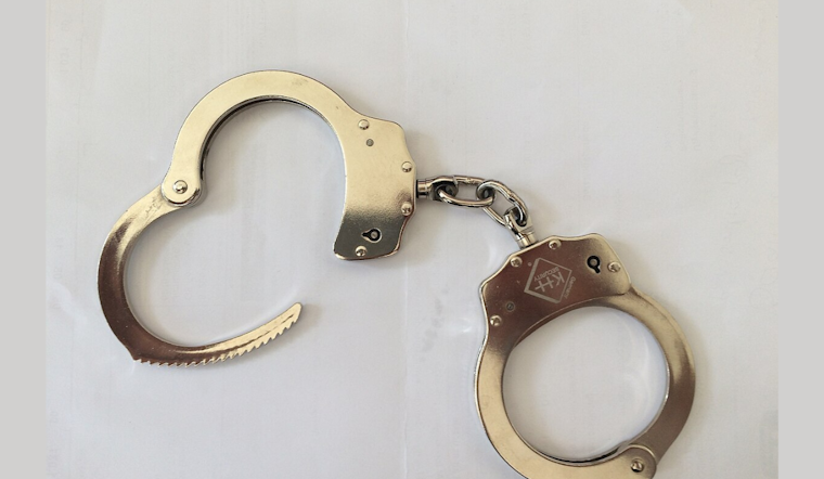 Michigan Attorney Stefanie Lambert Arrested in D.C. Over Dominion Voting Systems Case