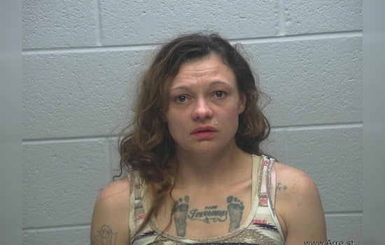 Michigan Mother Accused of Leading 100 MPH Chase in Indiana With Child in Car Faces Drug, Neglect Charges