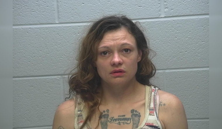 Michigan Mother Accused of Leading 100 MPH Chase in Indiana With Child in Car Faces Drug, Neglect Charges