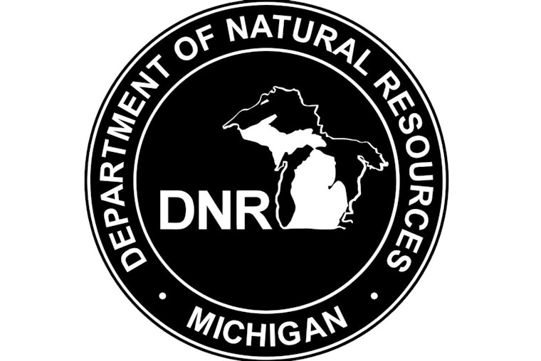 Michigan Scientists Launch Oral Bovine Tuberculosis Vaccine Trial in Wild Deer