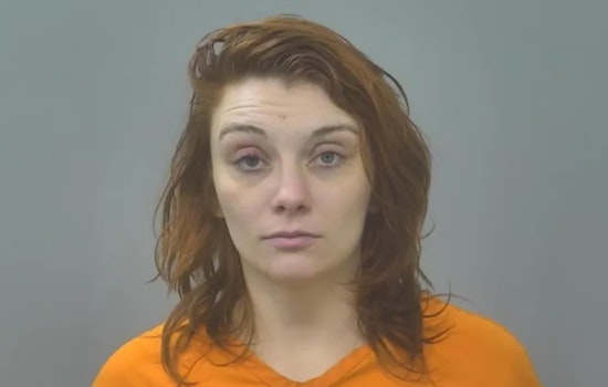 Michigan Woman Charged After Allegedly Stealing Truck, Gun and Drugs from Alpena Home