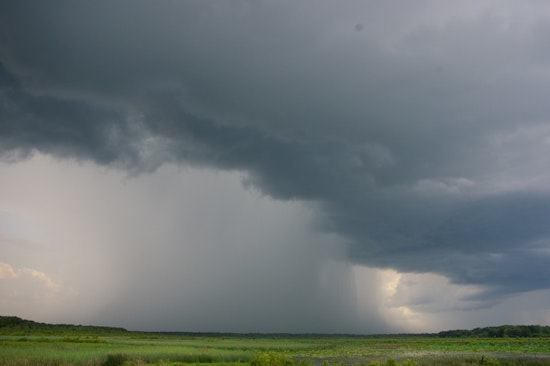 Minneapolis Braces for Weekend Showers with Gusty Winds and Unsettled Weather Ahead