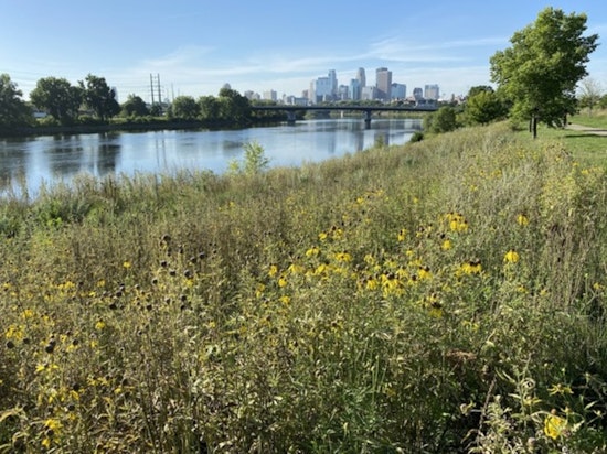 Minneapolis Park Board to Showcase New Trail Bridge Proposals Connecting North to Northeast