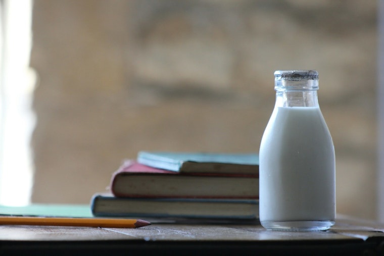Minnesota Senator Gustafson Proposes Free Milk for Students Bringing Lunch from Home