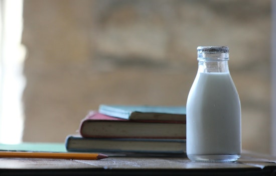 Minnesota Senator Gustafson Proposes Free Milk for Students Bringing Lunch from Home