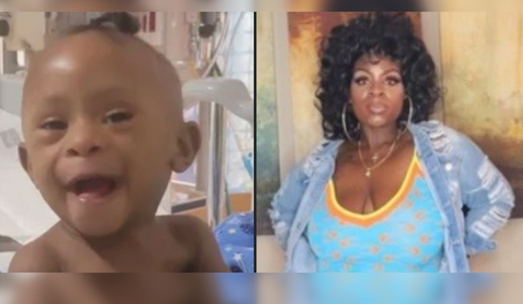 Missing Houston Toddler Found in Minneapolis, Mother Arrested on Endangerment Charges