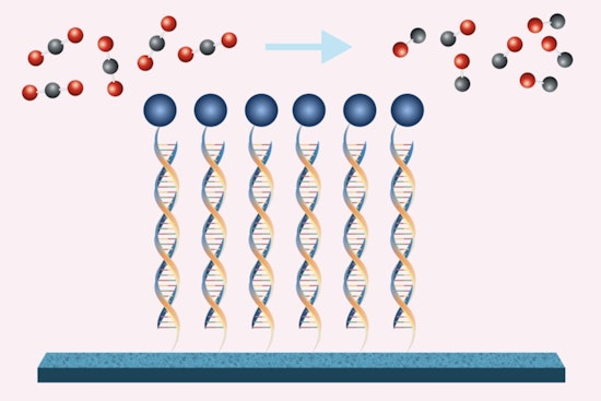 MIT Engineers Cook Up Climate Crisis Game-Changer, DNA-Tethered Catalysts Could Slash CO2 Emissions