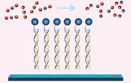 MIT Engineers Cook Up Climate Crisis Game-Changer, DNA-Tethered Catalysts Could Slash CO2 Emissions