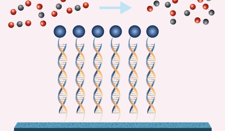 MIT Engineers Cook Up Climate Crisis Game-Changer, DNA-Tethered Catalysts Could Slash CO2 Emissions