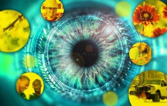 MIT's Vision Quest Shows AI Gaining Human-like Peripheral Sight, Poised to Shift Gears in Driving Safety