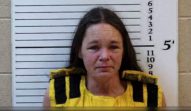 Mother Charged in Murphy Twin Tragedy: Boys Found Dead, Community in Mourning