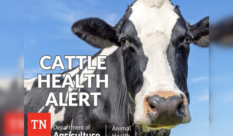 Mystery Illness Strikes Dairy Cattle in Texas, Kansas, and New Mexico; Agricultural Officials on Alert