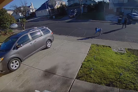 VIDEO: Napa County Sheriff's Deputy Involved in Non-Fatal Shooting After Multi-City Pursuit, Suspects Plead Guilty