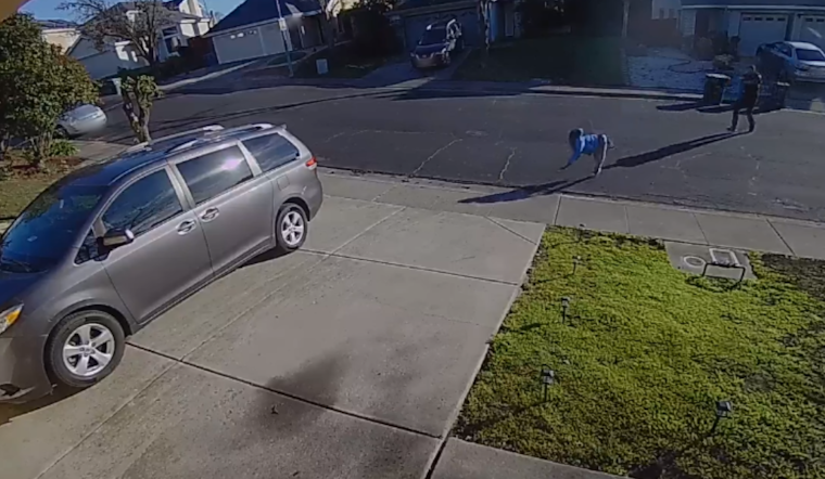 VIDEO: Napa County Sheriff's Deputy Involved in Non-Fatal Shooting After Multi-City Pursuit, Suspects Plead Guilty