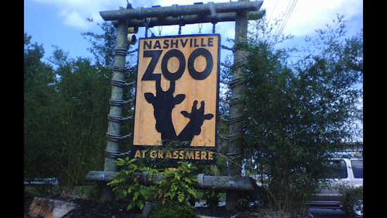 Nashville Zoo's "Sips for Species" Night Aims to Top $17K for Conservation with Unlimited Drinks and Dino Fun