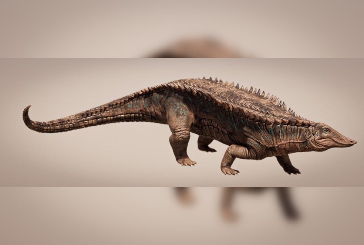 New Crocodile Ancestor With Full Body Armor Unveiled by University of