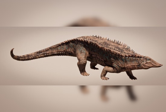 New Crocodile Ancestor With Full Body Armor Unveiled by University of Texas Researchers