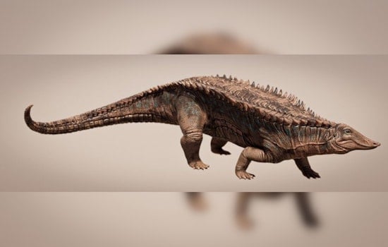 New Crocodile Ancestor With Full Body Armor Unveiled by University of Texas Researchers