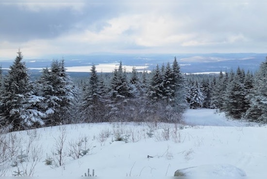 New Hampshire Man Dies in Snowmobile Accident, Highlighting Recent String of Tragedies