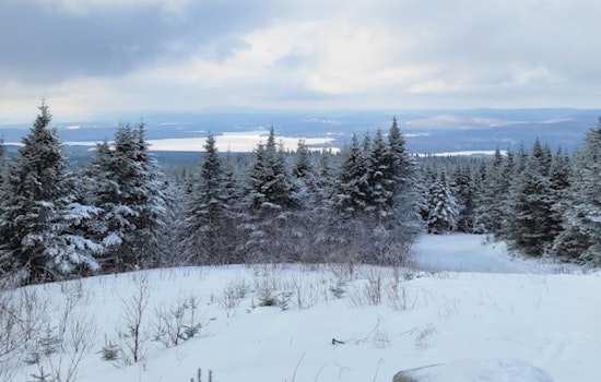 New Hampshire Man Dies in Snowmobile Accident, Highlighting Recent String of Tragedies