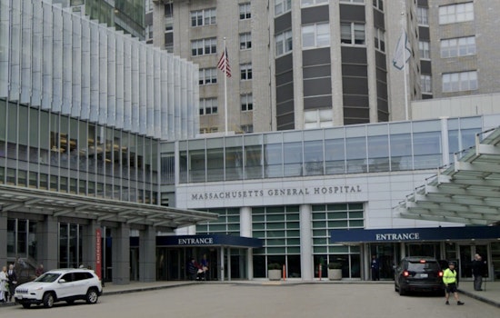 Oink-mazing Feat, Boston Docs Transplant Gene-Edited Pig Kidney Into Human in World First at MGH