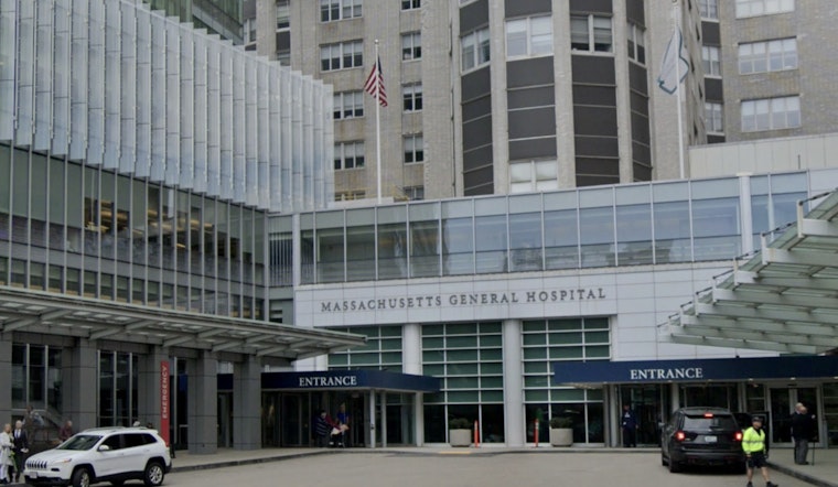 Oink-mazing Feat, Boston Docs Transplant Gene-Edited Pig Kidney Into Human in World First at MGH