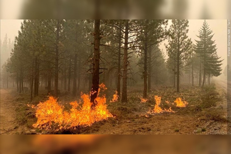 Oregon Tackles Wildfire Risk with $250 Incentives for Defensible Space Projects, as TikTok Ban Bill Advances in House