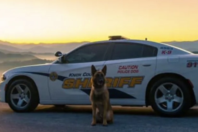 Patriot Homes Team Aims to Donate New Tracking Vests to Loudon County Sheriff's K-9 Unit
