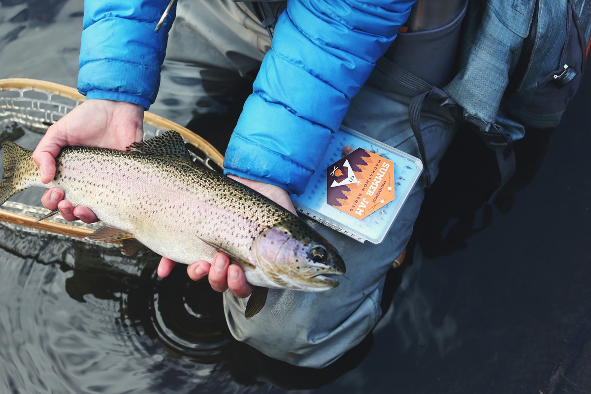 Pennsylvania's first day of trout 2024: Weather, permits and more