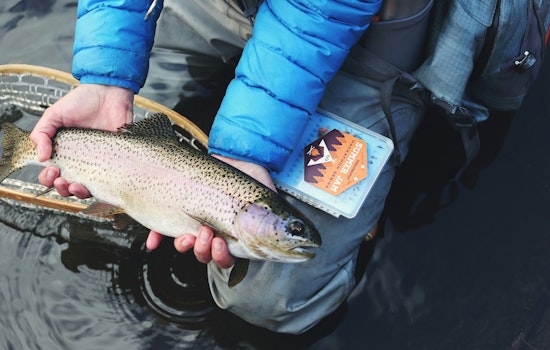 Pennsylvania Fish and Boat Commission Hosts Mentored Youth Trout Day Across 67 Counties