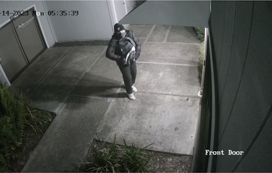 Petaluma Police Seek Suspect in Repeat Vandalism Incidents Causing Up to $15,000 in Damages