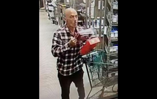 Petaluma Police Seek Two Suspects in Bold Daylight Theft at Home Improvement Store