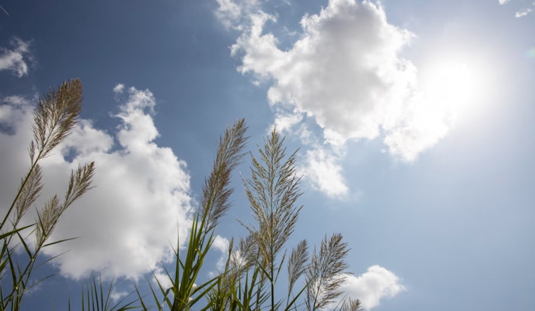 Philadelphia's Spring Forecast Includes Sunny Days, Sporadic Showers and Persistent Breezes on the Horizon