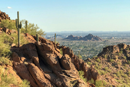 Phoenix Embraces Sunny Week Ahead with Balmy Mid-80s Forecast