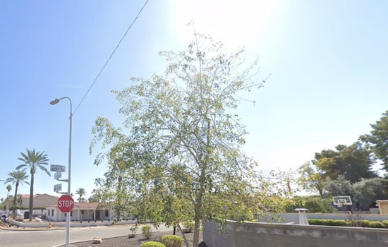 Phoenix Forecast, Sunny Skies and Mild Temperatures with Possible Weekend Showers