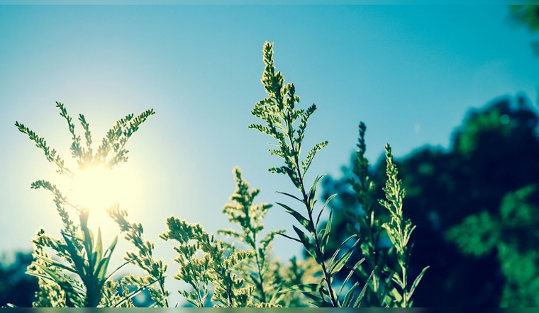 Phoenix Greeted by Sunny Skies and Rising Temperatures Heading Into the Weekend
