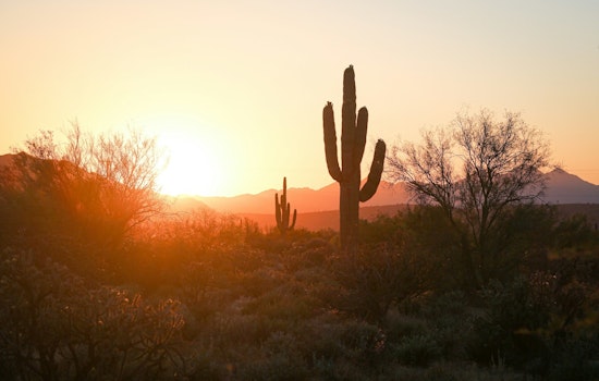 Phoenix on Verge of Sweating Past Record with 54 Days of 110-Degree Heat